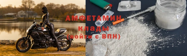индика Нея