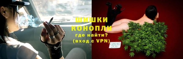 индика Нея