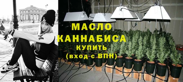 индика Нея