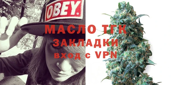 индика Нея