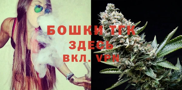 индика Нея