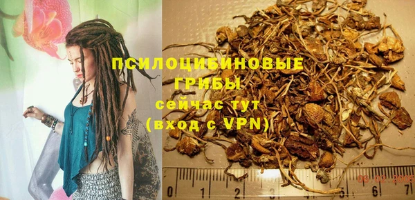 индика Нея