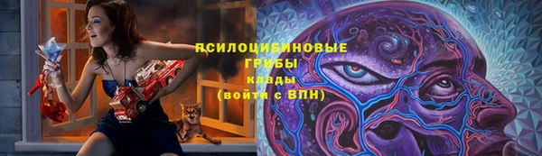 крисы Нефтекумск