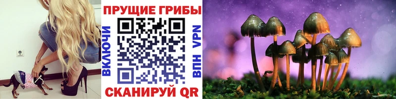 Псилоцибиновые грибы мицелий  Новое Девяткино 