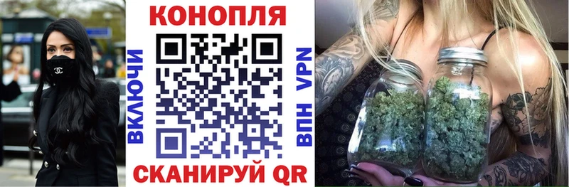 Каннабис сатива  Новое Девяткино 